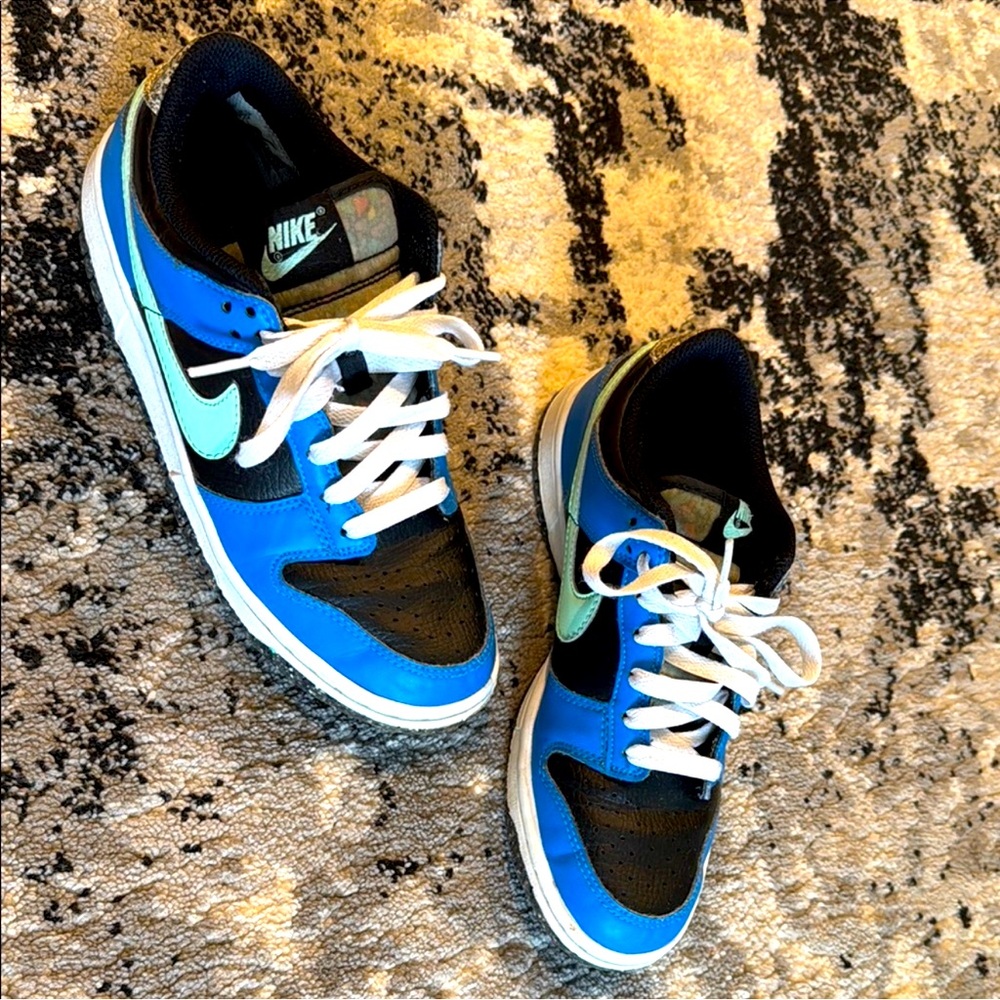 Nike Dunks Black and Blue Multi Color